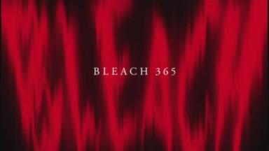 Bleach 1x365