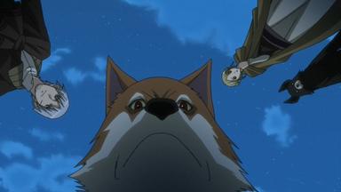 Spice and Wolf 1x12