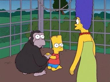 Los Simpson 17x14