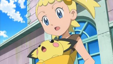 Pokémon 17x16