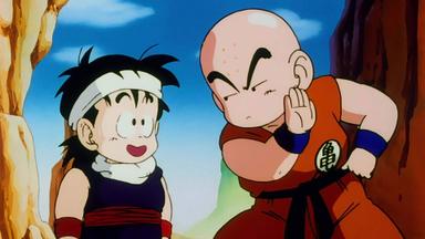 Dragon Ball Z 1x22