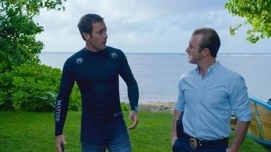 Hawaii Five-0 4x19
