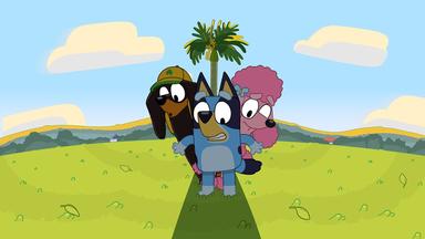 Bluey 1x5