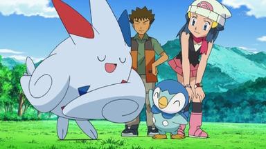Pokémon 13x15