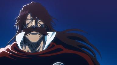 Bleach 2x24