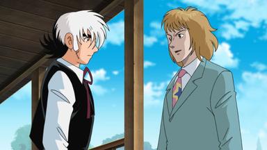 Black Jack 21 1x48