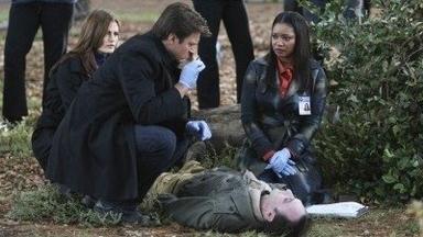 Castle 3x8