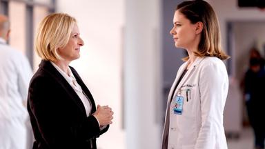 New Amsterdam 5x10