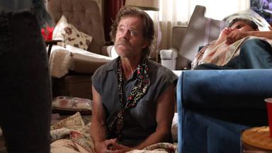 Shameless 10x4