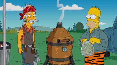 Los Simpson 27x2