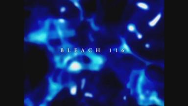 Bleach 1x116