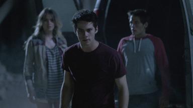 Lobo Adolescente 4x12