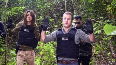 Hawaii Five-0 7x21