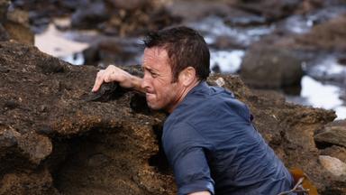 Hawaii Five-0 7x4