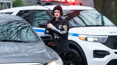 La ley y el orden: crimen organizado 4x11
