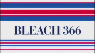 Bleach 1x366
