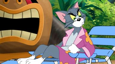 Las nuevas aventuras de Tom y Jerry 1x5