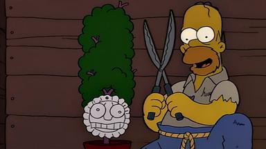 Los Simpson 5x22