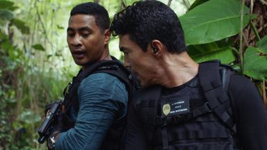 Hawaii Five-0 10x8
