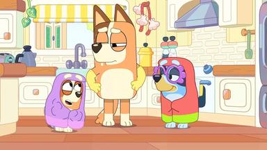 Bluey 1x28