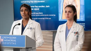 Anatomía según Grey 22x13