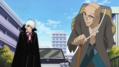 Black Jack 21 1x50