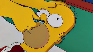 Los Simpson 12x9