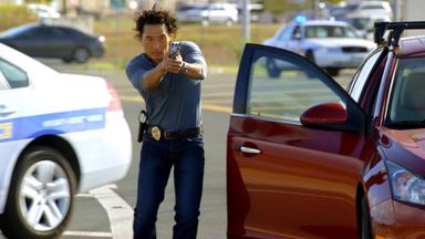 Hawaii Five-0 1x14