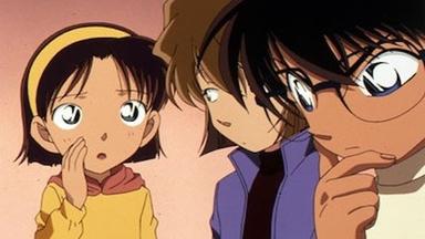Detective Conan 1x313