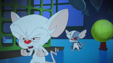 Animaniacs 1x28