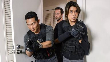 Hawaii Five-0 7x19