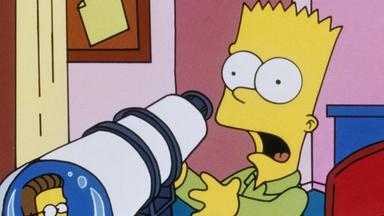 Los Simpson 6x1