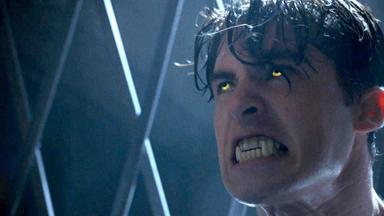 Lobo Adolescente 6x15