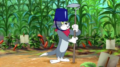 Las aventuras de Tom y Jerry 2x7