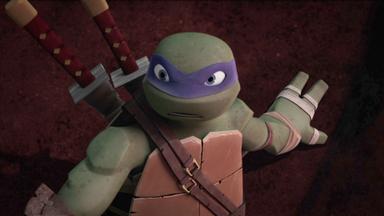 Las Tortugas Ninja 5x1