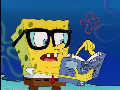 Bob Esponja 1x3