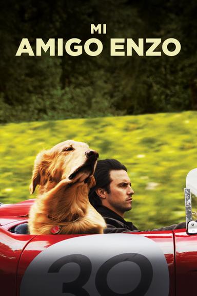 Mi Amigo Enzo