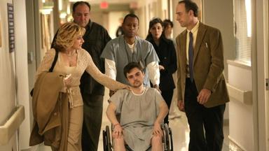 Los Soprano 6x19