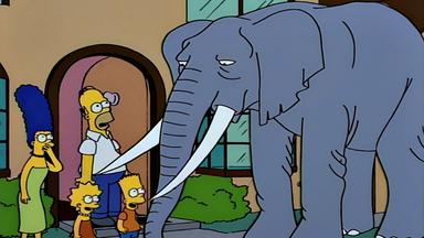 Los Simpson 5x17