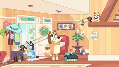 Bluey 2x12