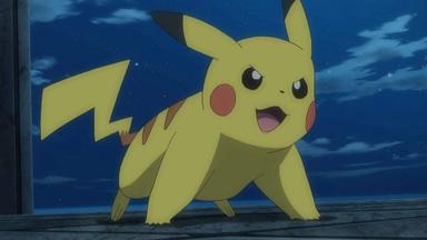 Pokémon 22x17