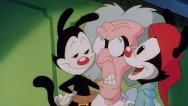 Animaniacs 1x1