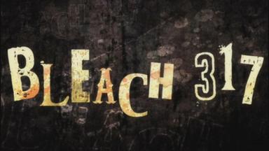 Bleach 1x317