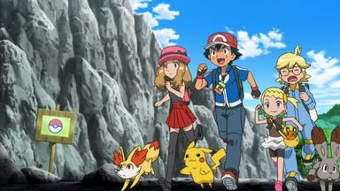 Pokémon 17x40