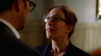 Bull 1x16
