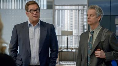 Bull 6x18