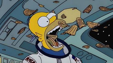 Los Simpson 5x15