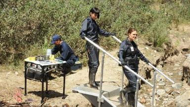 Bones 9x8
