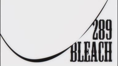 Bleach 1x289