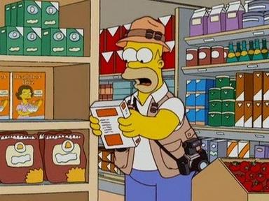 Los Simpson 18x16